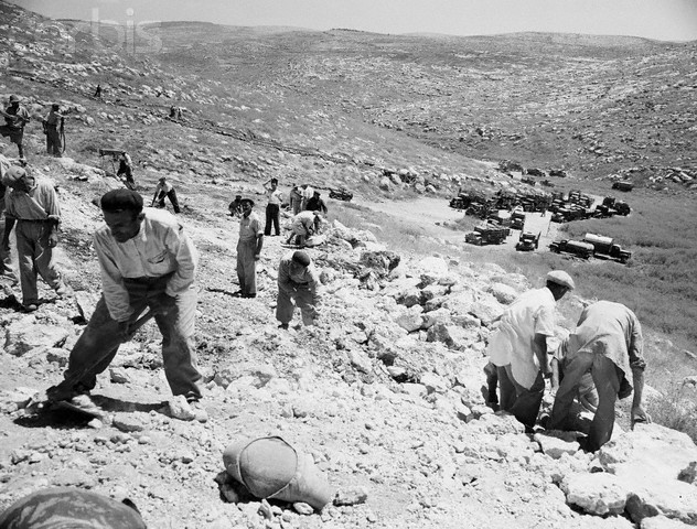 Judean hills in 1948 before the forests were planted