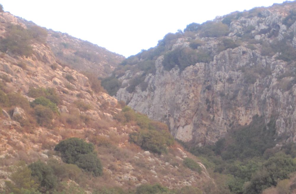 Looking up Nachal Sefunim