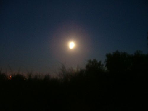 Full moon on first night.