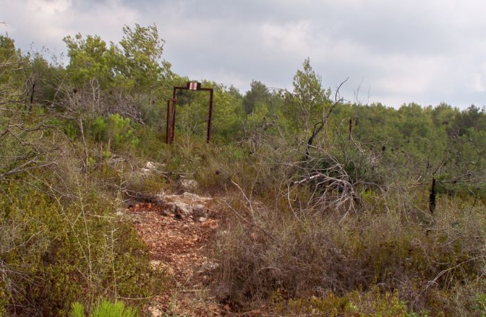 red trail blaze on gate