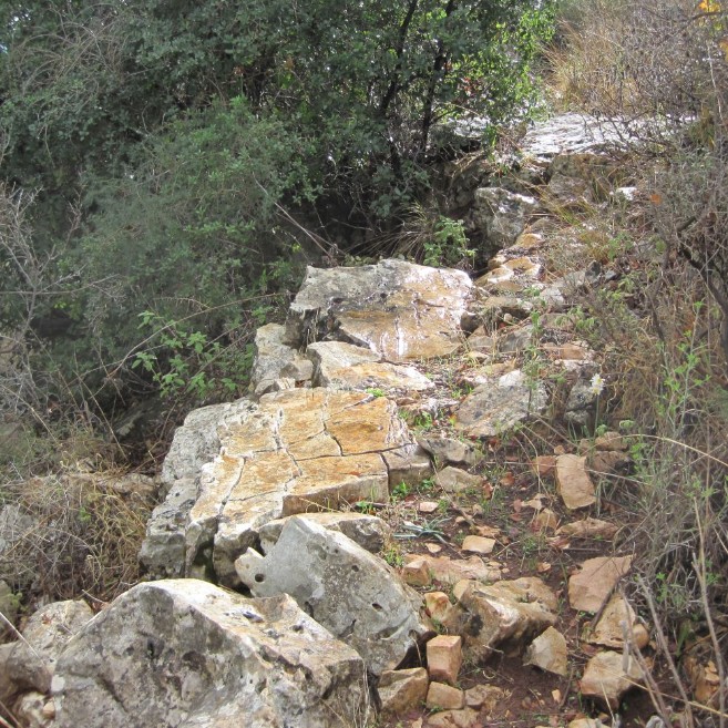 Rocky part of the red trail (4141)