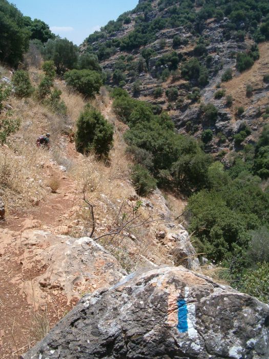 Narrow trail up the north side of Wadi Amud