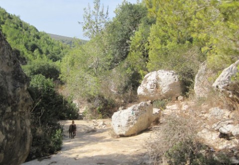 In Wadi Galim on the Green trail 