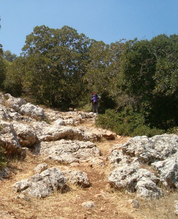 Steep path going straight up Mount Tabor