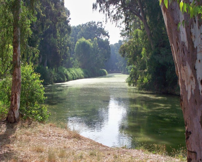 Yarkon River in the Tel Aviv Yarkon Park