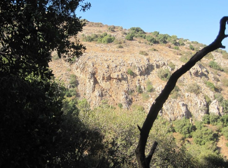 silhouette of dead tree with cliffs in the background