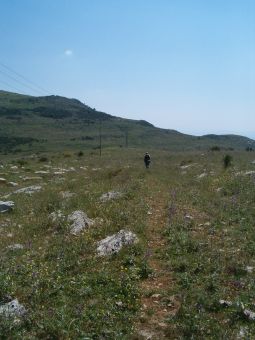 Goat trail to bushwhacking