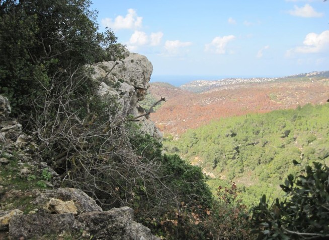 View of burnt forest and Haifa from the Red Trail 4171