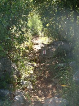 Red trail to Nimrod's Fortress