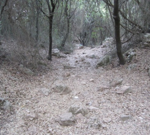 Start of red trail, 4130, Nahal Yagur