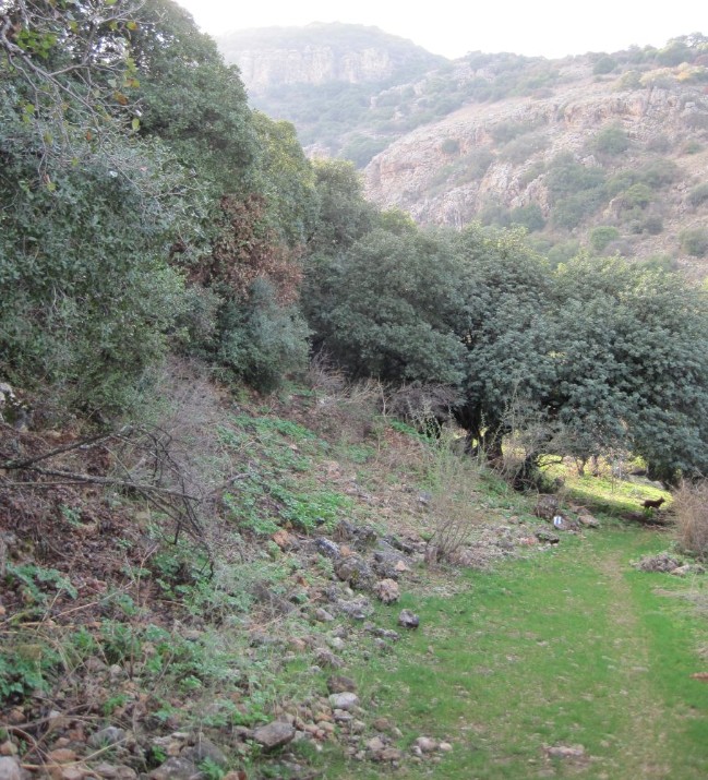 Winter on the Carmel trails