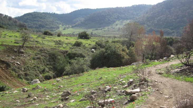 Alon Valley from the Blue Trail 4178